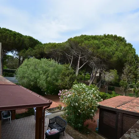 Fidelica * スティンティーノ