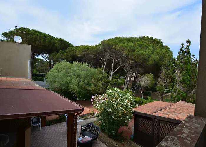 Fidelica * スティンティーノ